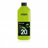 L'Oréal Professionnel Inoa ODS Oxydant Riche 20 vol. 1L